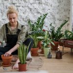 Designing the Best Backyard