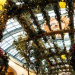 The Beauty and Durability of Steel Pergolas