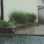 Tips for Preparing Your Property for Winter