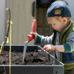Building a Raised Garden Bed with Galvanised Steel